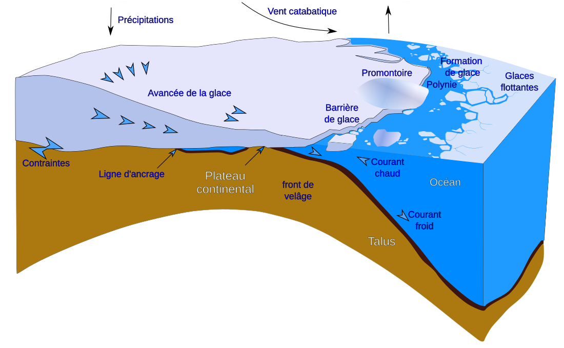 File:Antarctic shelf ice fr.svg