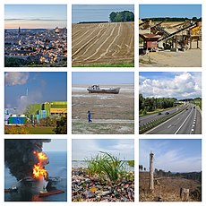 Anthropocene collage.jpg