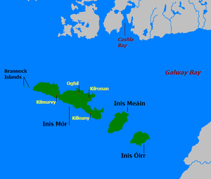 Detaljerad karta över Aranöarna