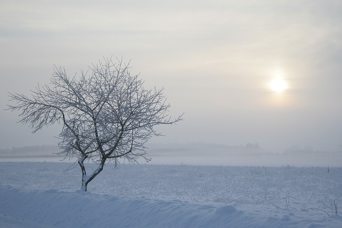 Ardu, Estonia