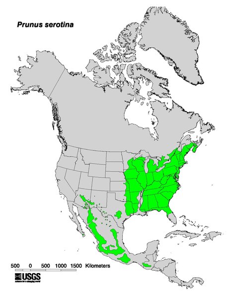 File:Arealo de Malfrua prunuso.pdf