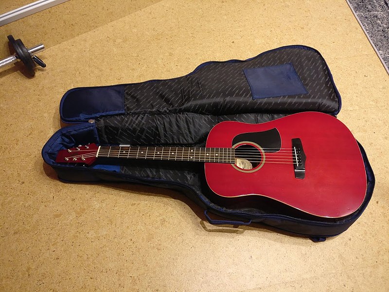 File:Aria acoustic guitar type aw 75 rsb complete.jpg