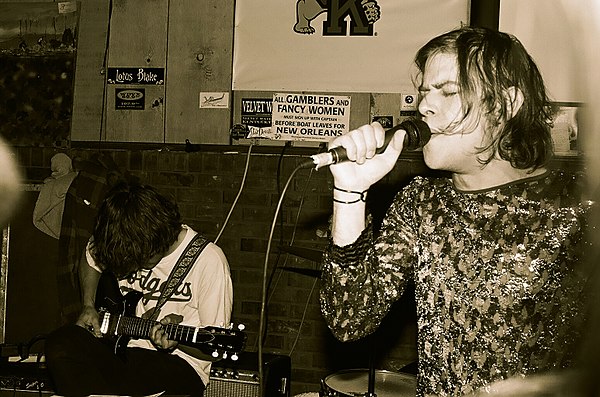 Ariel Pink performing in 2007