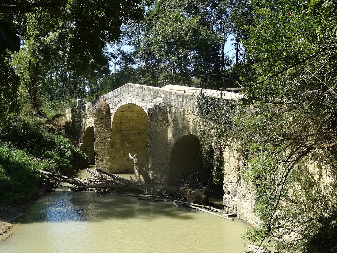 Castèthnau d'Arbiu