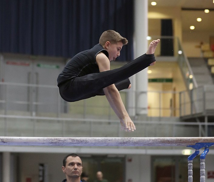 File:Austrian Future Cup 2018-11-23 Training Afternoon Parallel bars (Martin Rulsch) 0184.jpg