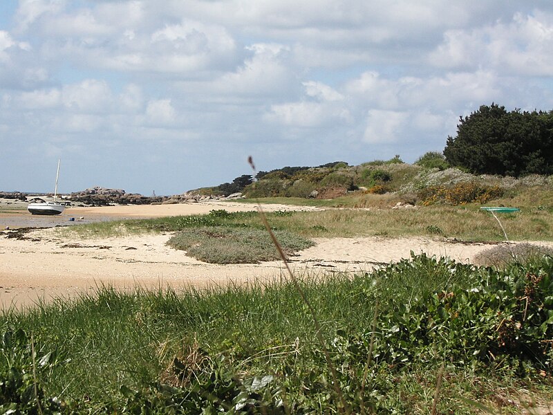 File:Avril 2005, plage à Trégastel 4.jpg