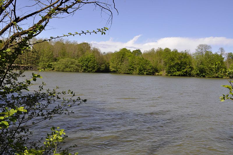 File:Bèze river's mouth in Vonges 2.JPG