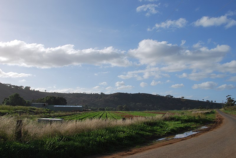 File:Bacchus Marsh Werribee Vale Road 001.JPG