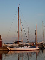 Berlin Bear in Klintholm Havn, Denmark, 2011