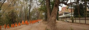 Miniatuur voor Bestand:Big-Boonnak tree of Wat Khung Taphao 13.jpg