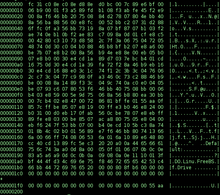 Binary_executable_file2.png