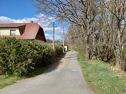 Birkenweg in Bennewitz