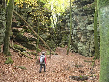 At Teufelsschlucht (Devils Gorge)