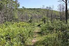 Blackwater View Trail