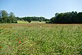 * Nomination: View over the LSG Steinberg from Münchner Straße near the crossing to Am Rinnerhof --Kritzolina 09:09, 25 June 2024 (UTC) * * Review needed