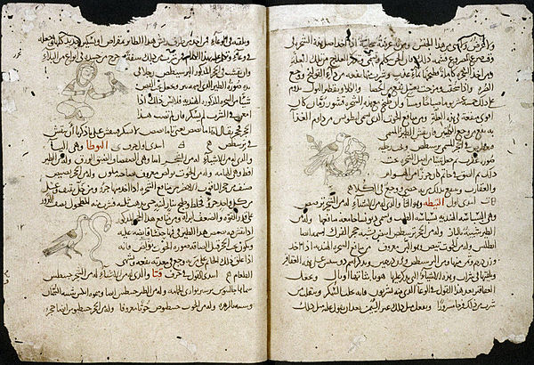 Pages from a 14th-century Arabic manuscript of the Cyranides, a text attributed to Hermes Trismegistus