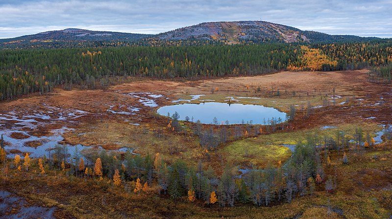 File:Bog with ponds near Ruuhijoki and Sallatunturi in Salla, Lapland, Finland, 2021 September.jpg