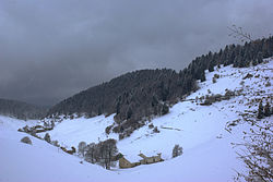 Snowy pasture at Bosco Chiesanuova in Italy