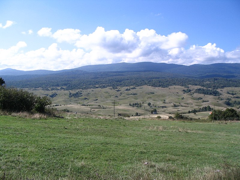 File:Bravsko polje.jpg