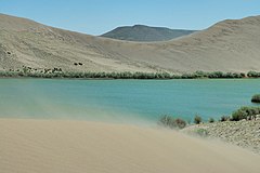 Dunas de arena de Bruneau.jpg