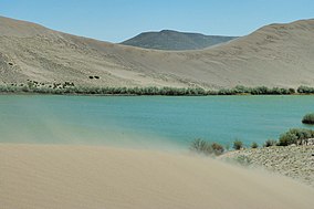 Bruneau qum dunes.jpg