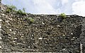 * Nomination Mediaeval wall on the castle Burg Landshut in Bernkastel-Kues.--Peulle 00:06, 8 July 2018 (UTC) * Promotion  Support Good quality. --Podzemnik 00:11, 8 July 2018 (UTC)