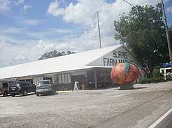 Burris Farm Market ubicado en Loxley