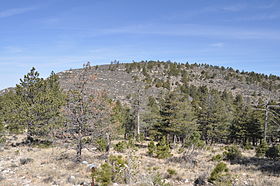 Vue de Bush Mountain.