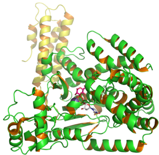 <span class="mw-page-title-main">Clostridium difficile toxin B</span>