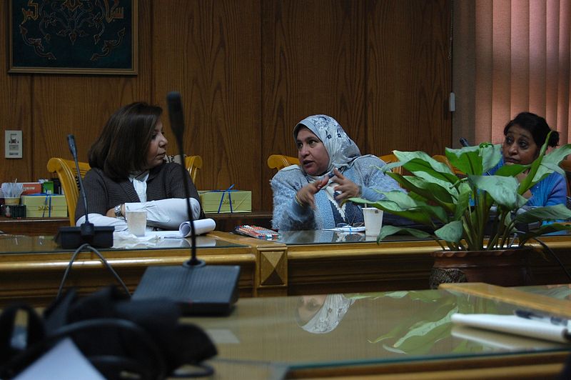 File:Cairo faculty workshop3.jpg