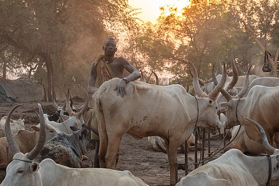 Mundari man in the cattle camp, Terekeka, South Sudan.
