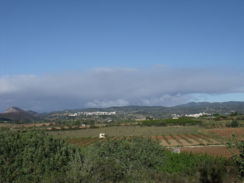 File:Camps de Torís 06.JPG