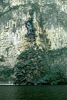 Cascata dell'"albero di Natale" sulla parete del Canyon del Sumidero