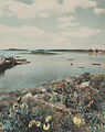 Cape-Porpoise,-Kennebunk-hand-painted-photograph-by-Charles-Henry-Sawyer.jpg