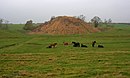 Castle Hill - geograph.org.uk - 1562486.jpg