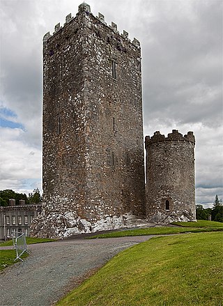 <span class="mw-page-title-main">Drishane Castle</span> Tower house in County Cork, Ireland