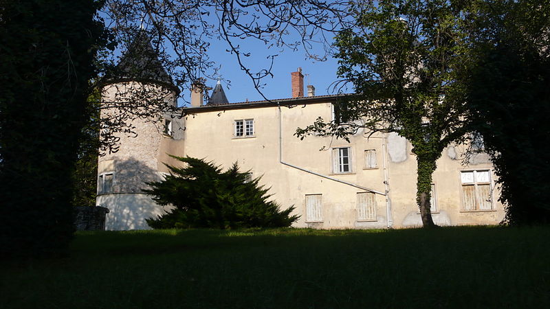 File:Chateau Motte Lyon PA00117786 1.jpg