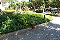 Táiběi Zhōngzhèng District Plant bed at XìnYì Rd - ShàoXìng South St intersection Táiběi Stadtteil Zhōngzhèng Pflanzenbeet bei der Kreuzung zwischen XìnYì Rd und ShàoXìng South St