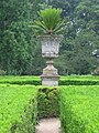 Cikaso (Cycas revoluta) en la franca ĝardeno