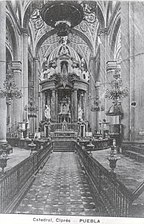 Cypress of the cathedral in 1900.