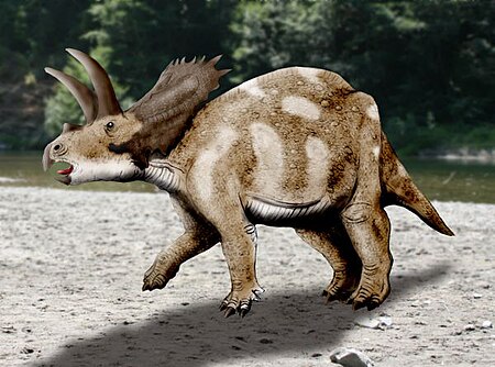 Tập_tin:Coahuilaceratops_NT.jpg