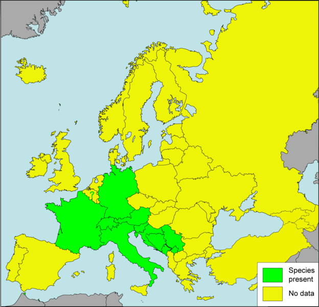 File:Cochlostoma septemspirale Presence in European countries.png