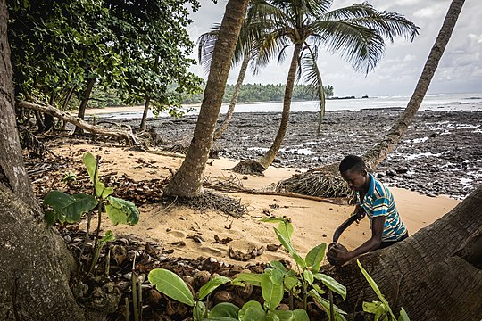 Сан томе либерия. Сан-томе и Принсипи. São Sebastião Museum Сан-томе и Принсипи. Sao Tome e Principe. Принсипи Африка.