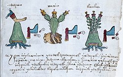 Codex Osuna