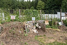 Compost bins at the Evergreen State College organic farm in Washington Compost bins at the Evergreen State College Organic Farm during mid June of 2019.jpg