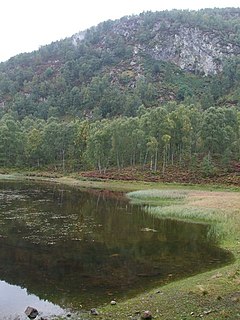 Craigellachie National Nature Reserve national nature reserve near Aviemore, Scotland