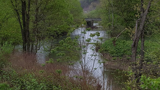 Confluence of the Cumberland River headwater forks at Baxter