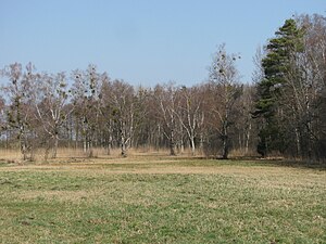 Blick in das NSG „Wasenmoos“ (März 2012)