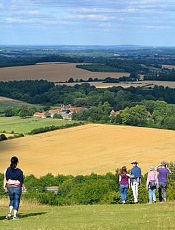 Descending from Beacon Hill, Hampshire - geograph.org.uk - 3609104
