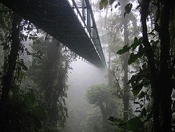 Canopy walkway disappearing into a cloud forest near Santa Elena, Costa Rica.